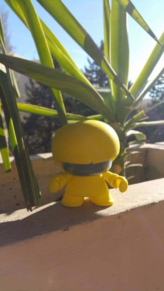 Xboy, votre nouvel ami qui vous suivra partout ! Xboy, votre nouvel ami qui vous suivra partout !