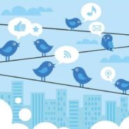 Illustration d'oiseaux bleus sur des fils avec des bulles de médias sociaux