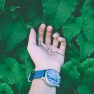 Main portant une montre sur des feuilles vertes