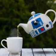 joni ludlow rqaSSf7N3rc unsplash