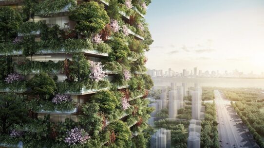La première forêt verticale anti-pollution va être construite en Chine