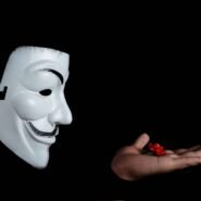 Masque blanc regardant une main tenant une fleur rouge