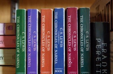 Le Monde de Narnia revient… après un achat par Netflix !
