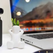 Caméra et plante sur un bureau avec un ordinateur portable