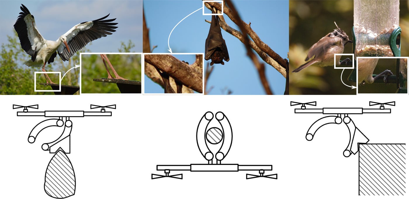Un drone aux mêmes capacités qu’un oiseau et d’une chauve-souris