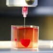 Des scientifiques impriment un cœur en 3D