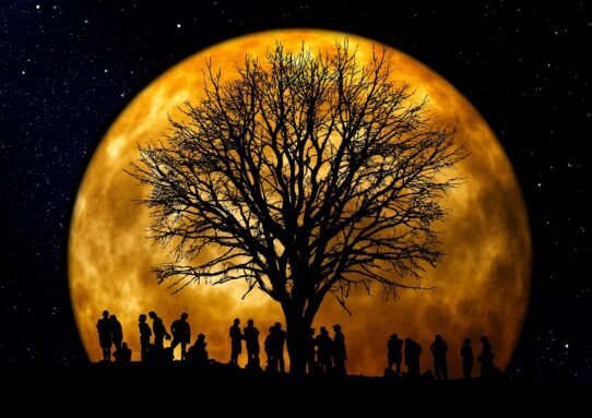 Silhouettes d'un arbre et de personnes devant une pleine lune lumineuse