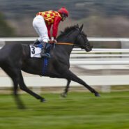 Concepts de base des paris sportifs : tout savoir avant de commencer à parier !