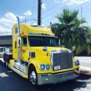 Camion jaune stationné près d'un palmier