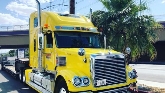 Camion jaune stationné près d'un palmier
