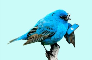 10 outils de Growth Hacking sur Twitter, pour vos startups