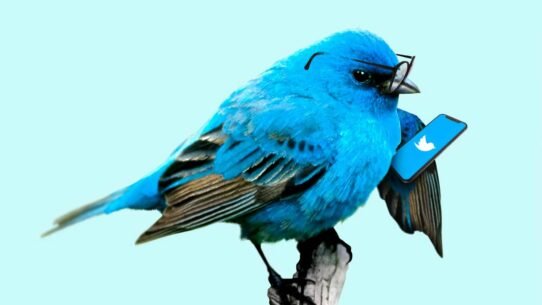 Oiseau bleu portant des lunettes et tenant un smartphone