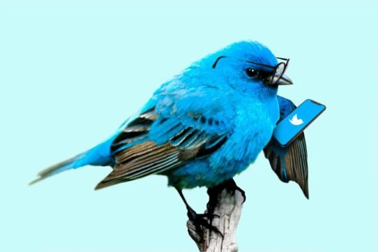 Oiseau bleu portant des lunettes et tenant un smartphone