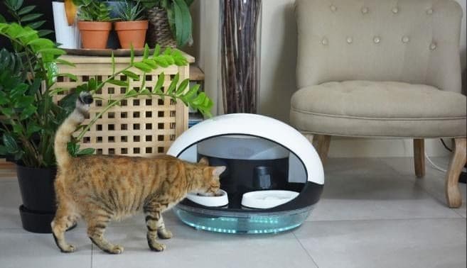 Catspad : le distributeur automatique intelligent pour félins