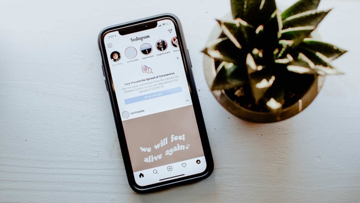 Écran de téléphone affichant Instagram près d'une plante