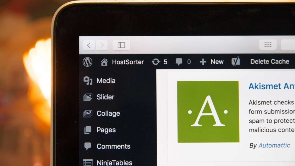 Écran WordPress avec le plugin Akismet affiché