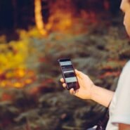 Homme regardant son smartphone dans un cadre naturel