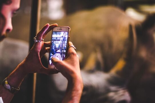 Personne prenant une photo d'un rhinocéros avec un smartphone