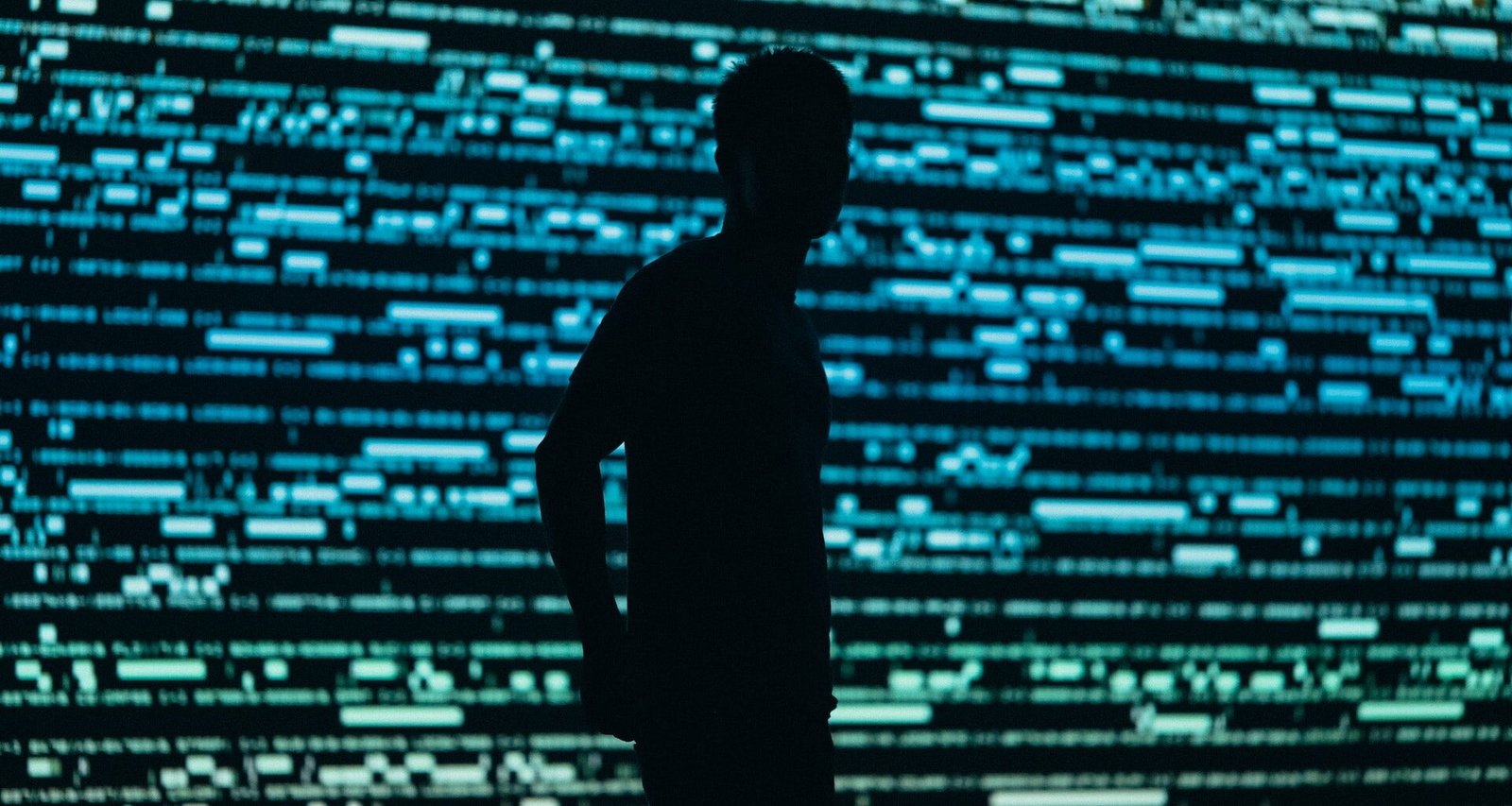chris yang 1tnS BVy9Jk unsplash