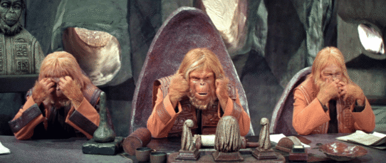 Trois singes assis recréent la posture des trois singes de la sagesse