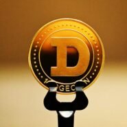 Pièce Dogecoin dorée sur fond flou