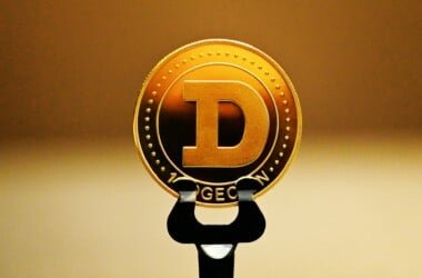 Les crypto-monnaies sont des arnaques d’après Jackson Palmer, co-créateur du Dogecoin