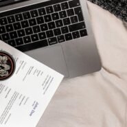 Ordinateur portable avec CV et plante sur une table