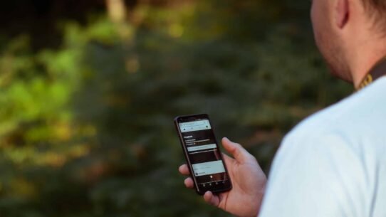 Personne tenant un smartphone avec une forêt en arrière-plan