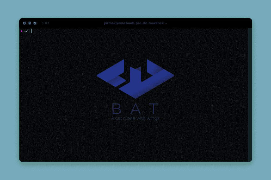 Fenêtre de terminal avec logo BAT en violet