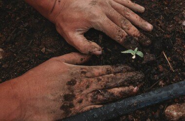 greenforce staffing bYZn C RswQ unsplash