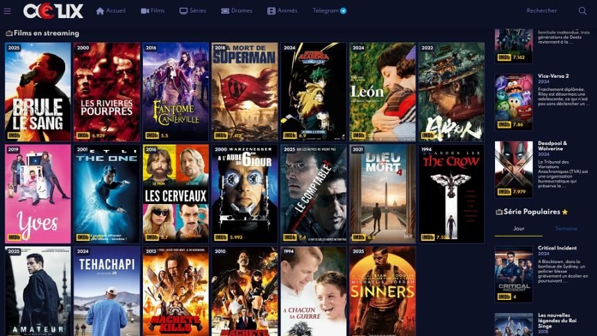 Top 20 des meilleurs sites de streaming gratuit pour regarder films et séries en ligne 7