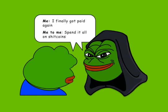 Deux grenouilles discutent de dépenser leur salaire en crypto-monnaies