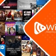 Plateforme Wi-flix avec divers films et séries en streaming