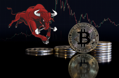 Bullrun