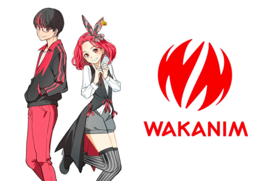 Fermeture de Wakanim alternatives pour regarder vos animés