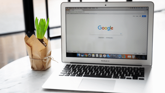 Ordinateur portable affichant Google à côté d'une plante