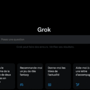 Interface Grok avec options pour poser des questions et résoudre des problèmes