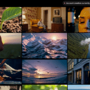 Mosaïque d'images de nature et scènes de vie