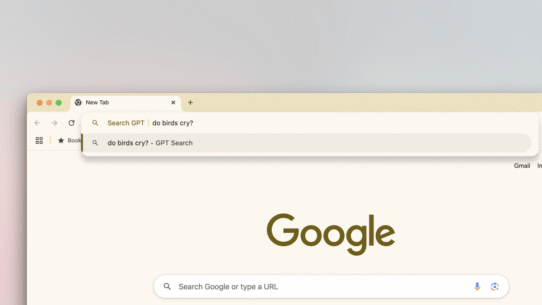 Fenêtre de recherche avec la question sur les oiseaux