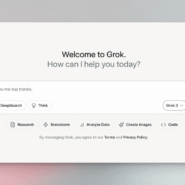 Interface de l'assistant numérique Grok avec options de recherche