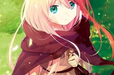 La série de romans `` The Otome Heroine Fight for Survival '' obtiendra une adaptation d'anime