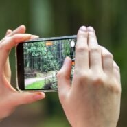 Mains tenant un smartphone capturant une forêt