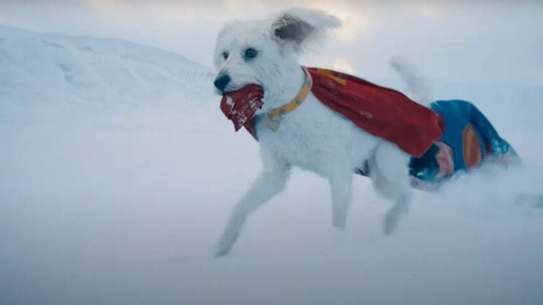`` The Misfit of Demon King Academy '' publie le deuxième cours de la deuxième bande-annonce de la saison 2! 5 David Corenswet dit que Krypto est «le pire chien du monde avec des superpuissances»