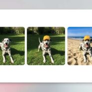 L'application Gemini de Google obtient l'édition d'image AI