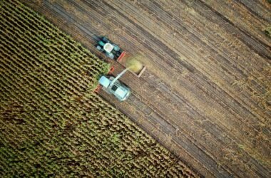 Agriculture et IoT