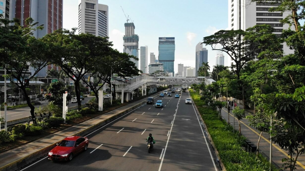 Avenue urbaine bordée d'arbres avec voitures et bâtiments modernes