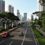 Avenue urbaine bordée d'arbres avec voitures et bâtiments modernes