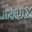 Logo de Linux