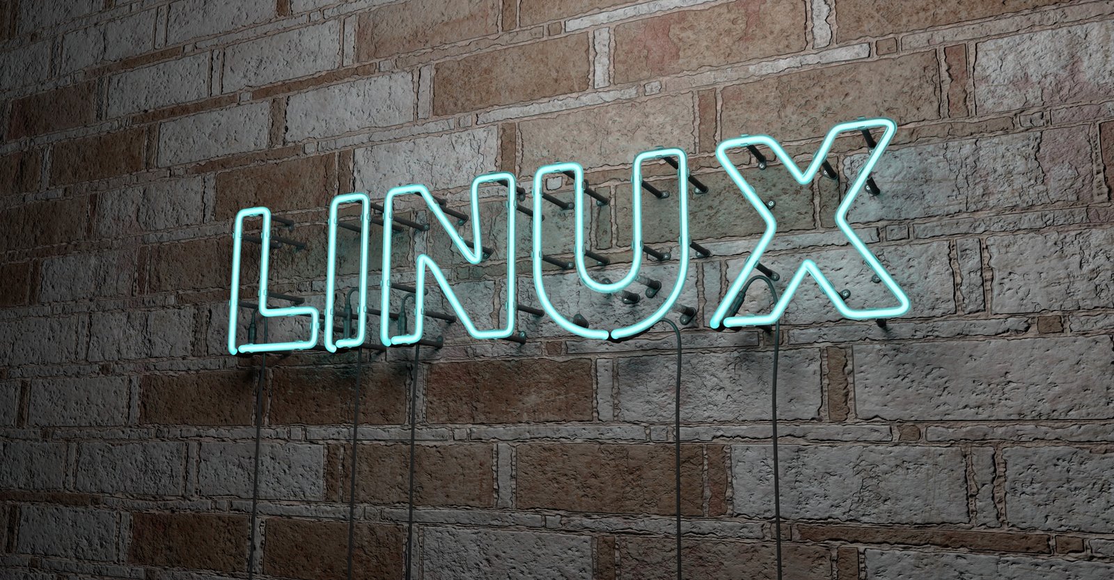 Logo de Linux