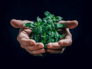 Gaming et écologie